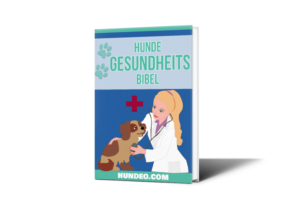 Hunde Gesundheit